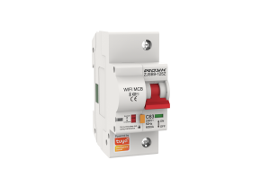 Tuya Smart WIFI Circuit Breaker-TW0-1P