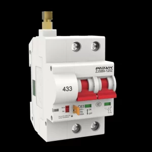 Remote Control Cirucit Breaker-WYK0-2P